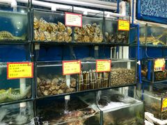 水产区-蚝专家(北滘店)