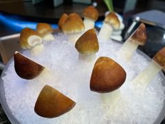 鲜香菇-王家渡火锅店(棕榈泉店)