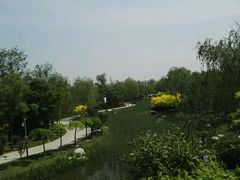 -武清南湖绿博园