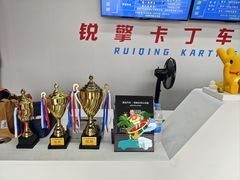 -锐擎卡丁车主题乐园(郊野公园店)