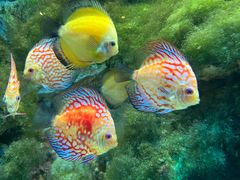 -多彩贵州城极地海洋世界