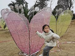 -枫香湖儿童公园