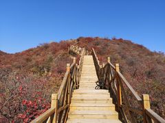 -水峪民俗村