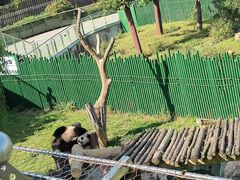 -沈阳森林动物园