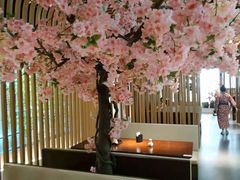 大堂-松子料理(华威桥店)