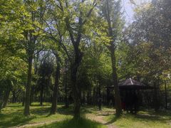 -大宁公园
