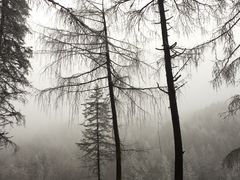 -硗碛藏寨·神木垒景区