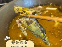 -石锅苗苗鱼(武汉首店)