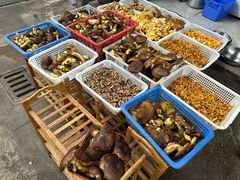 -草墩罗非鱼庄•野生菌•腊排骨(七星街上段店)