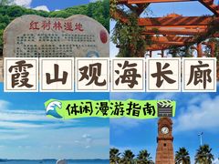 -霞山观海长廊