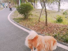 -金银湖国家城市湿地公园