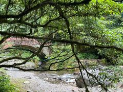 -西岭雪山大飞水景区