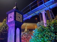 -锦江乐园舞狸花花游园会(夜场专享)