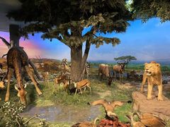 -国家自然博物馆