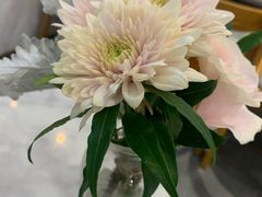 -LE SAPHIR 莎菲尔菓子(和兴店)