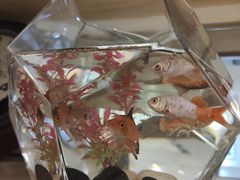 -时间仓(湘江世纪城店)