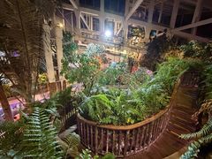 -正佳雨林生态植物园
