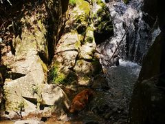 -藏龙百瀑风景区