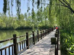 -溱湖国家湿地公园