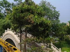 -南戴河国际娱乐中心