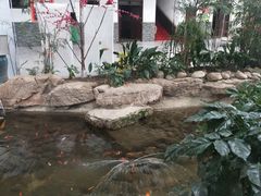 -森谷美食公园(杨行店)