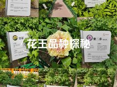 -太阳宫公园