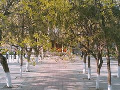 -山东师范大学(千佛山校区)