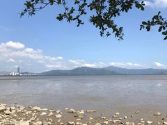 -深圳湾公园(南山区)