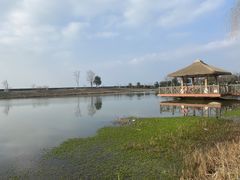 -苏州湾·王焰温泉