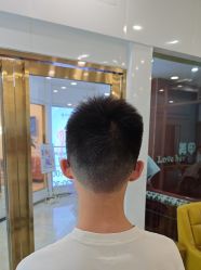 -YESIDO椰岛造型