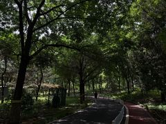 -望湖公园