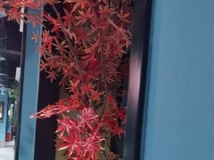 -渝乡辣婆婆·川菜 水煮鱼(中山西路店)