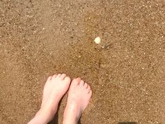 -巨鹏飞梦幻海岸