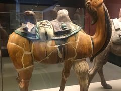 -西安大唐西市博物馆