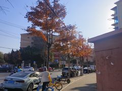 -苹果花园(金沙江店)