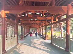 -重庆彩云湖湿地公园
