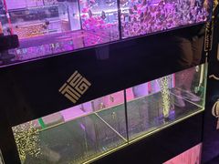 -中环花鸟鱼虫市场