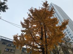 -春熙路步行街
