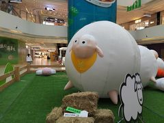 -阳光天地