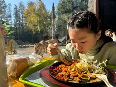 -上海野生动物园老虎餐厅