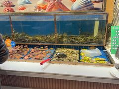 -加勒比阳光环球美食自助(凯德店)