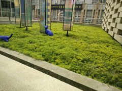 -中海环宇荟