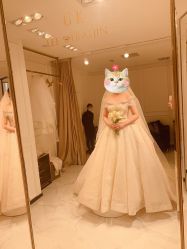 婚纱-GRACE KELLY婚纱与礼服(北京店)