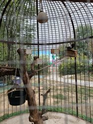 -萌宠亲子动物乐园(槐房万达店)