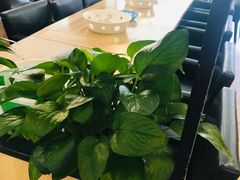-拿渡·水煮鱼麻辣香锅(王府井奥莱·香江小镇店)