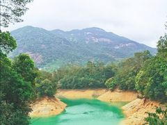 -广州市流溪河国家森林公园