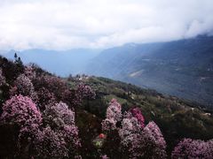 -九皇山景区