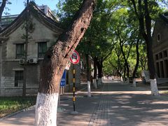 -山东大学(趵突泉校区)
