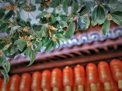 -龙华寺