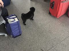 -三明北站